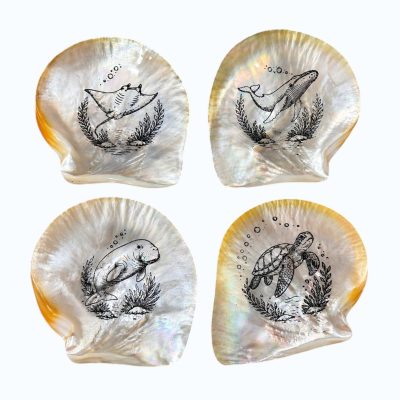 Pearl Shell