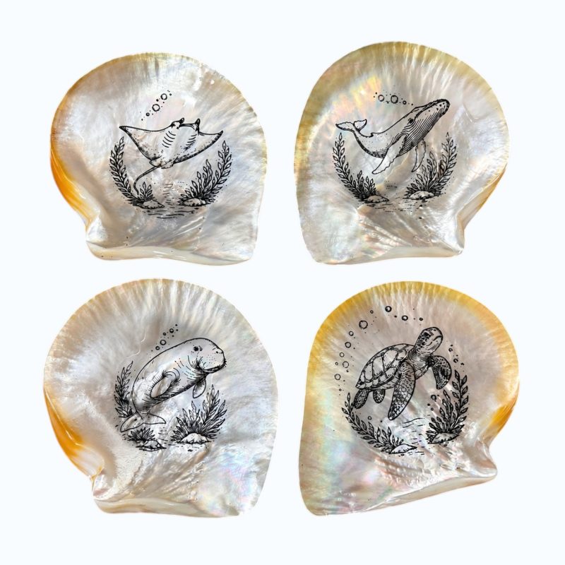 Pearl Shell